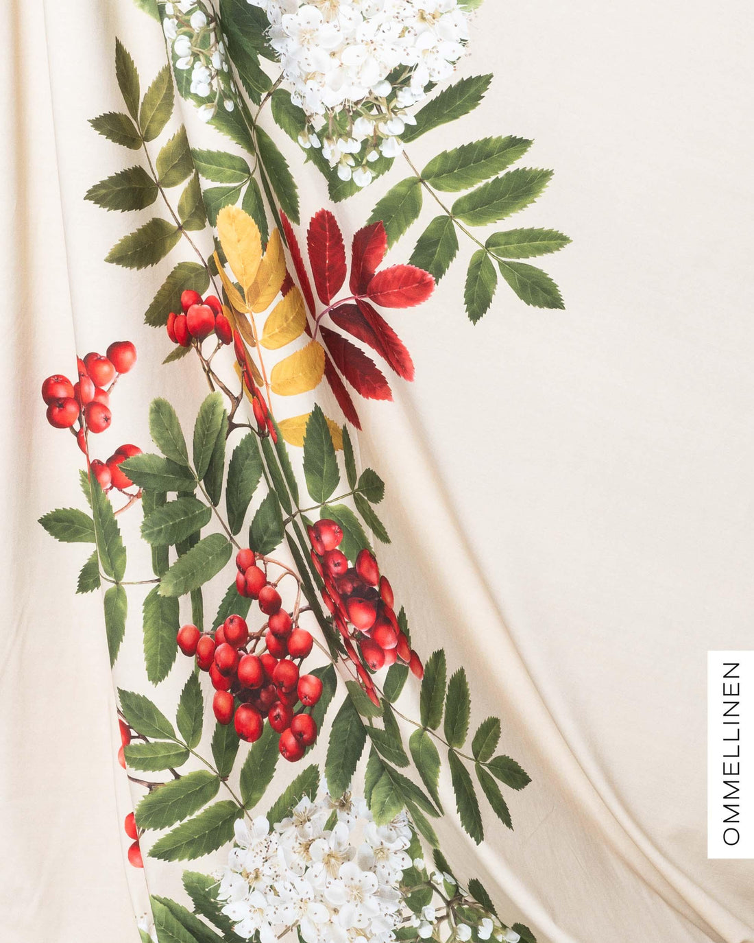 Digitrikoo, JĂ€ttipihlaja - vaalea