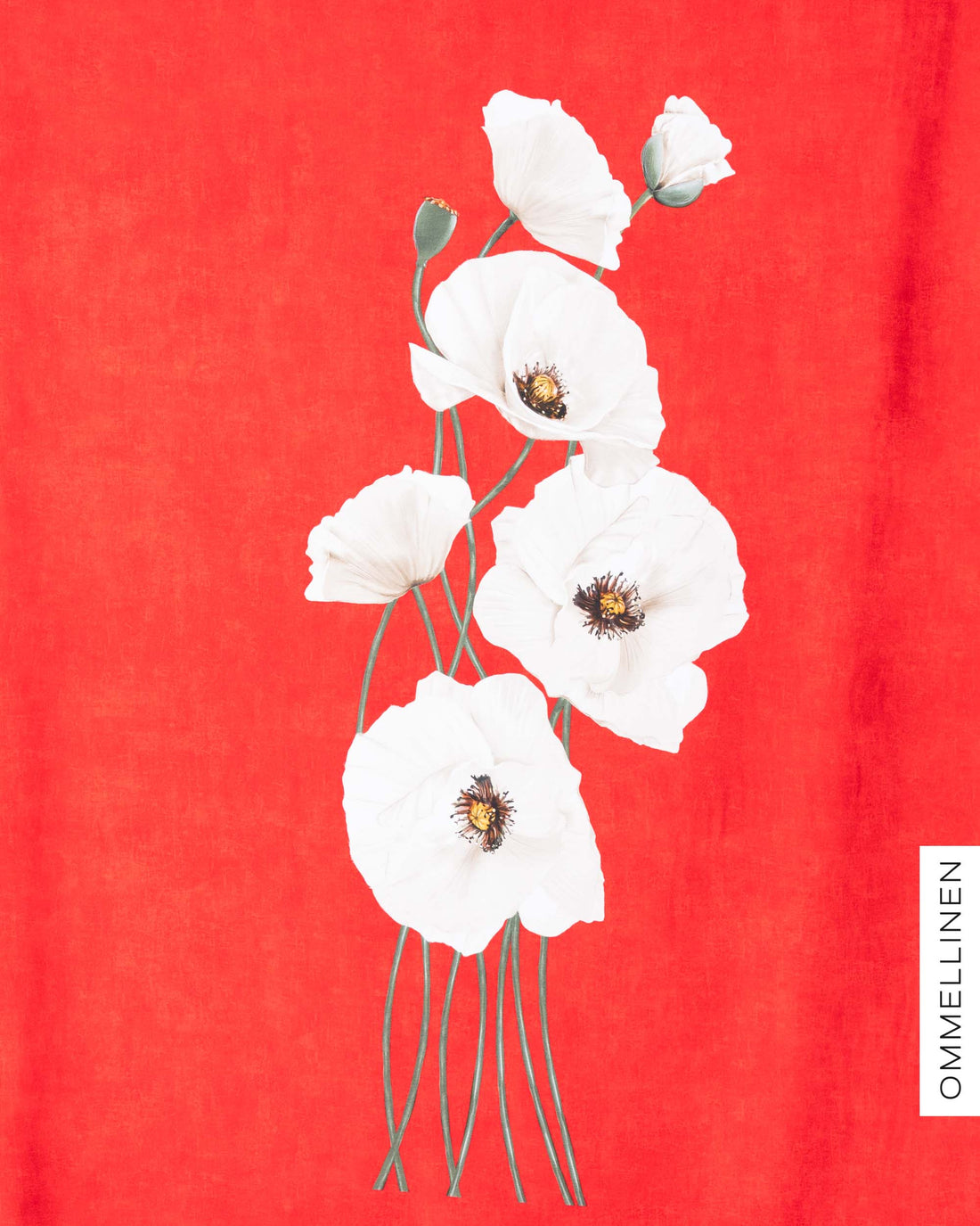 Jersey, Yökukka RAPPORT - red