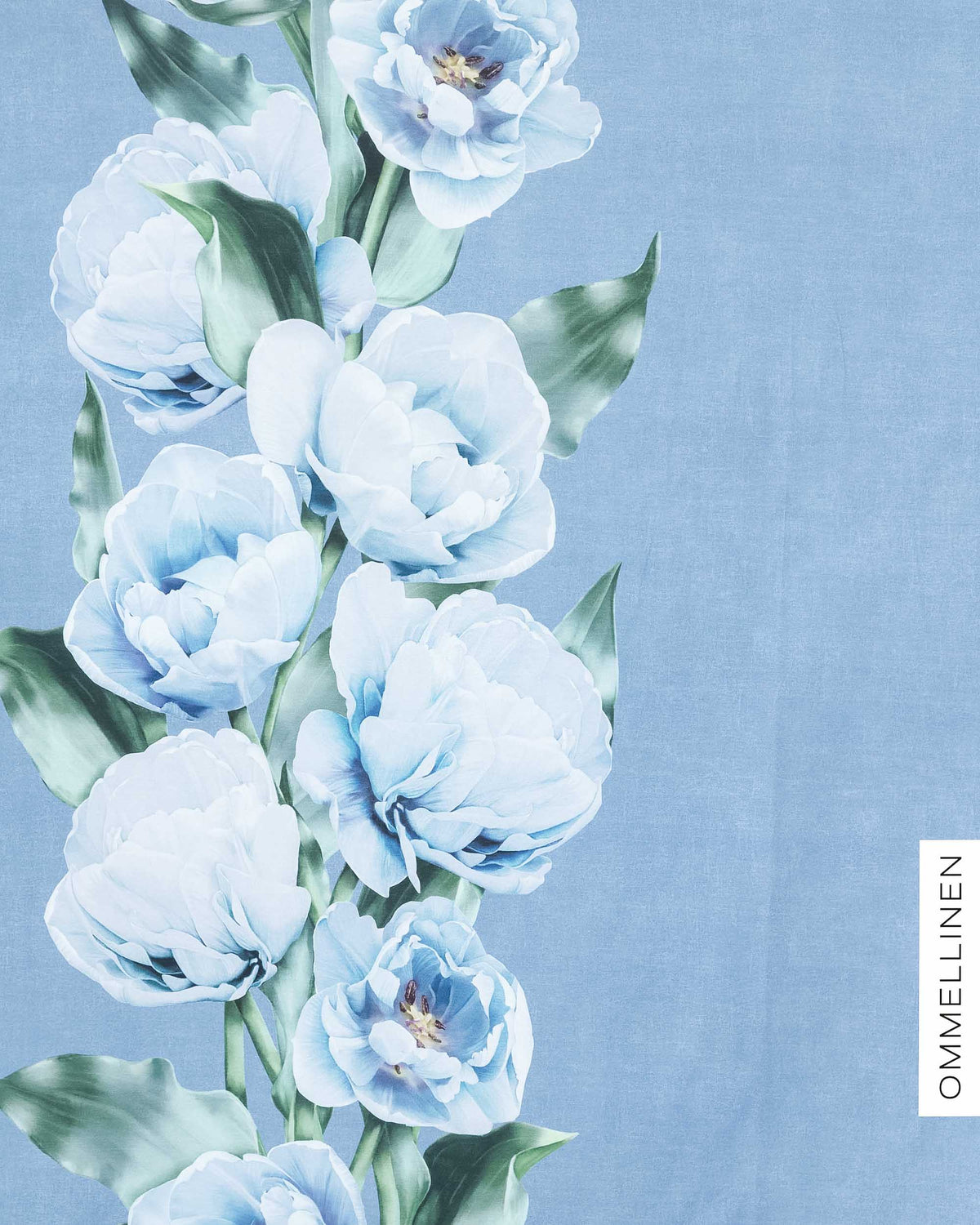 Jersey, La Belle giant - light blue