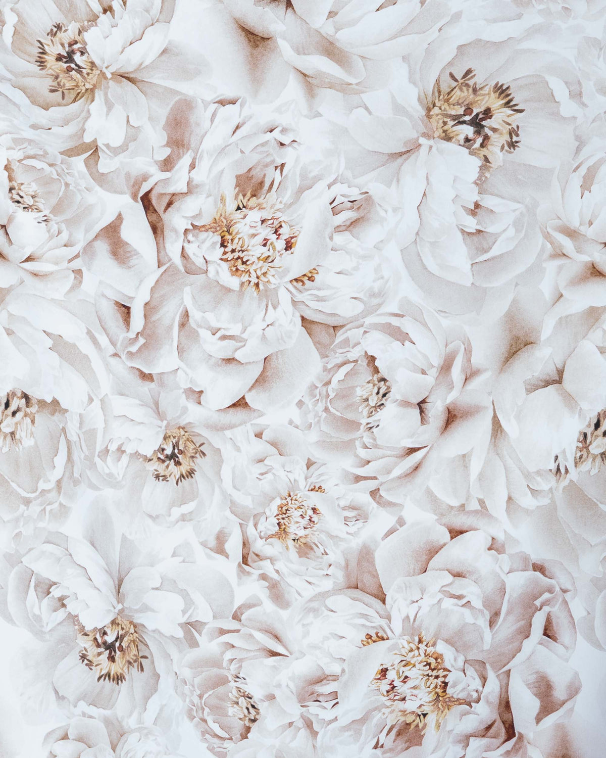 Cotton satin, Ikuisuus - white