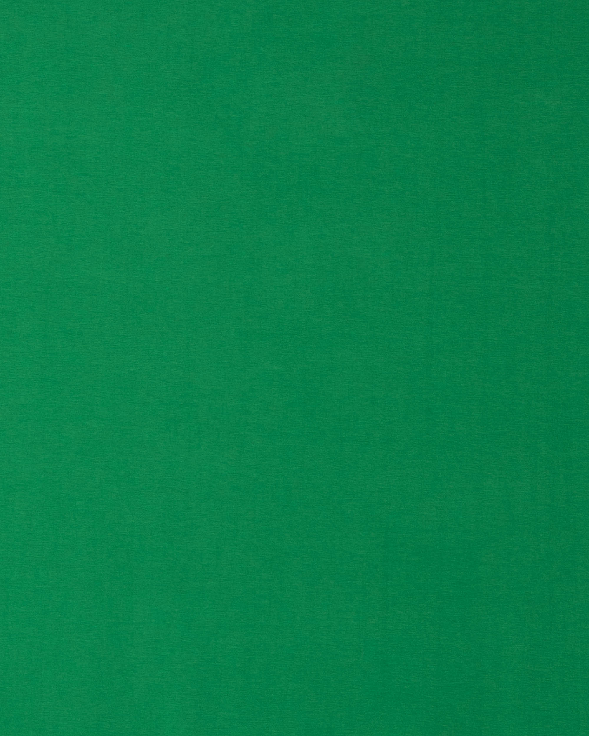 Jersey, green