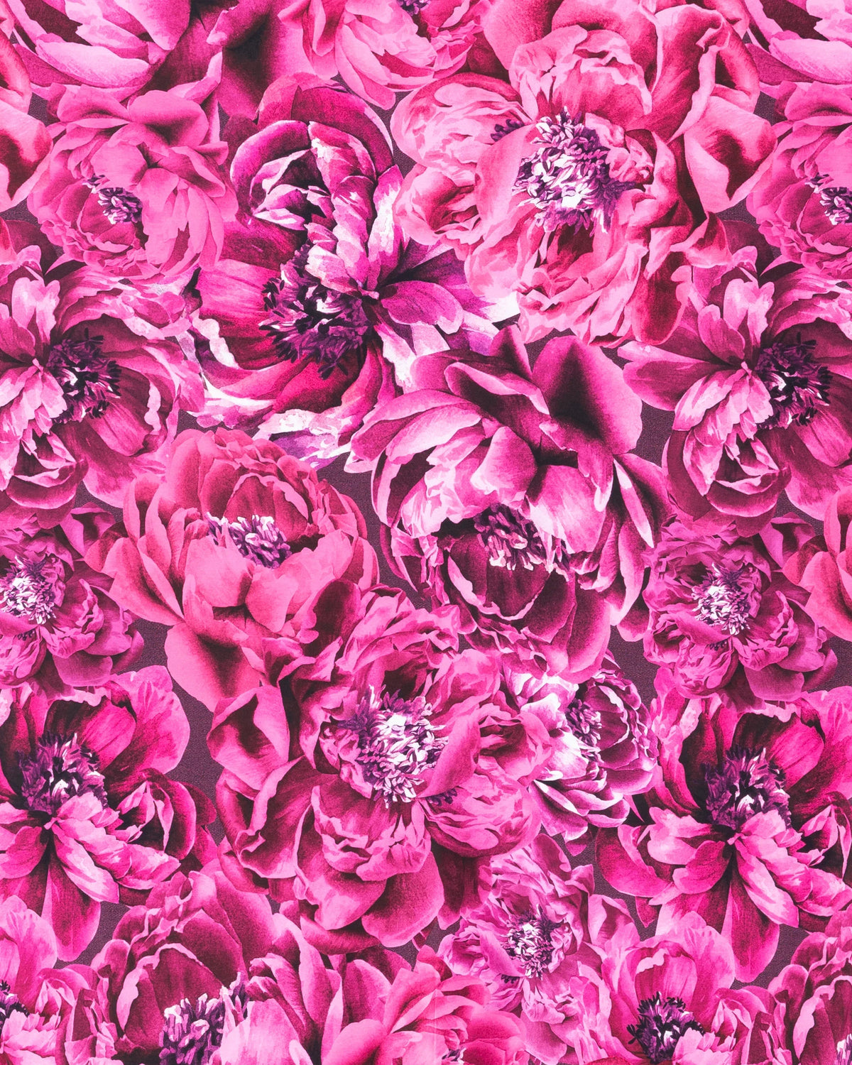 Jersey, Ikuisuus - fuchsia